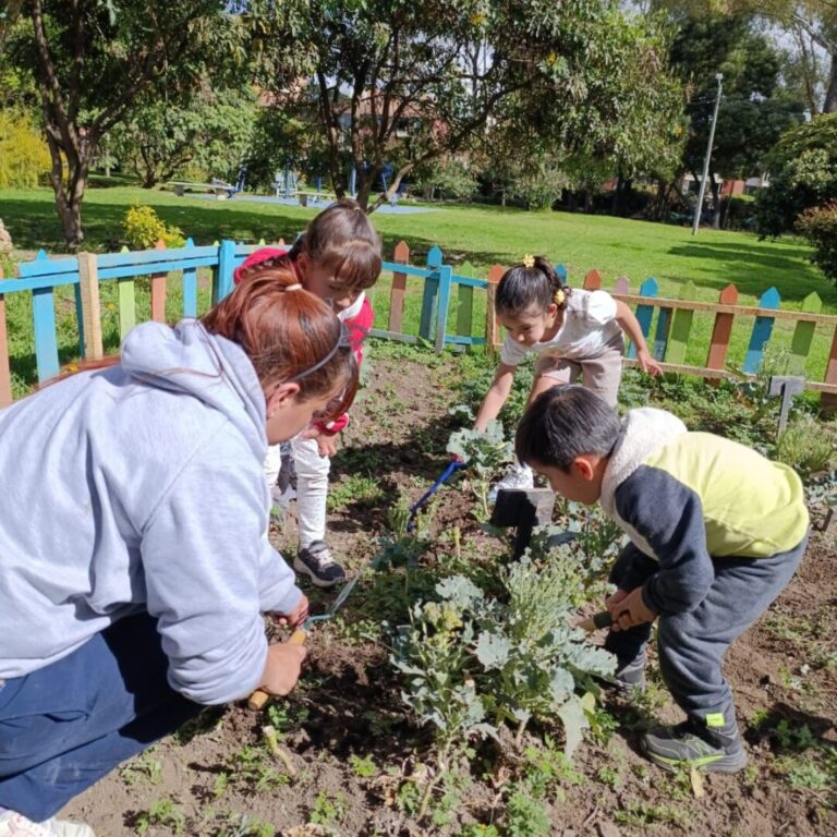 Diseño sin título (79)