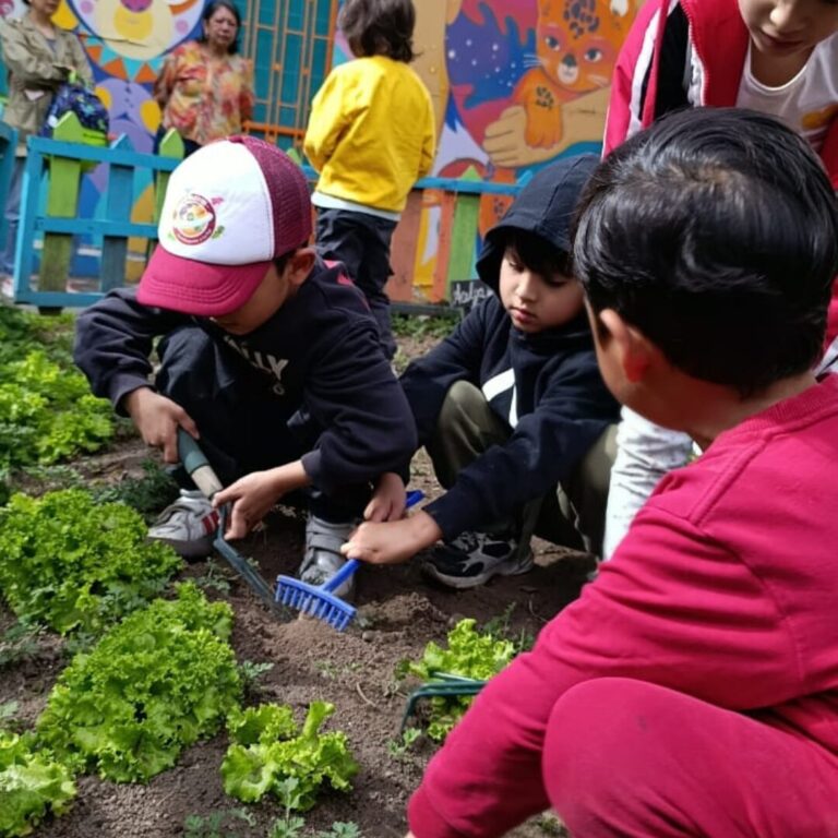 Diseño sin título (80)